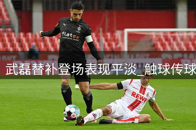 武磊替补登场表现平淡 触球传球数据不佳