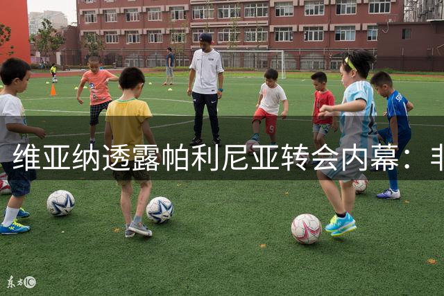 维亚纳透露帕利尼亚转会内幕：非本菲卡不加盟